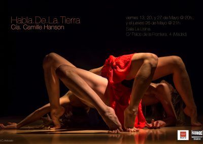 cartel HABLA DE LA TIERRA de Camille Hanson