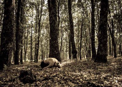 NATURE CAMILLE HANSON FOTO J.C.AREVALO