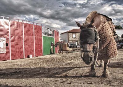 EL QUINTO TORO DE LA TARDE NOMBELA fotografia j.c.arevalo